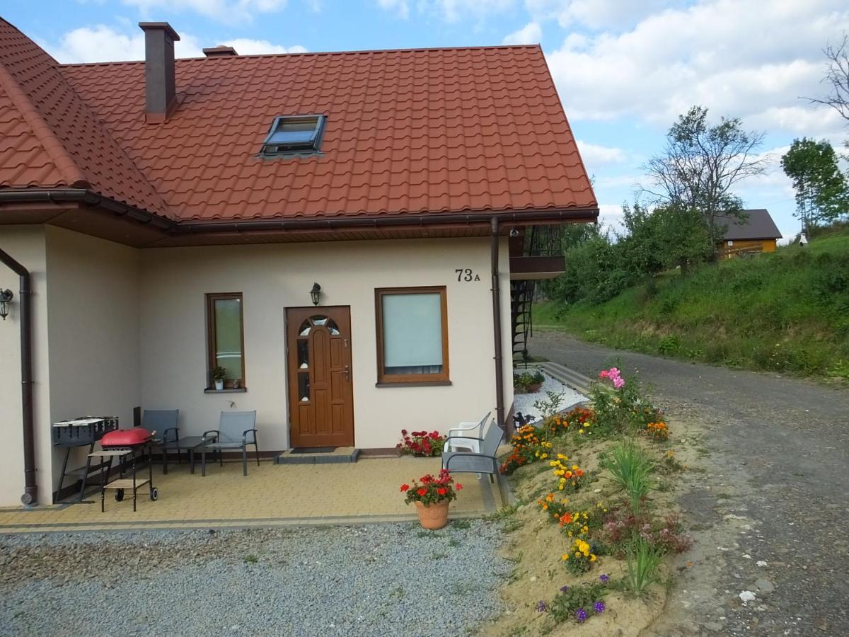 Pensjonat Na Zielonym Wzgorzu Zawoz Exterior photo